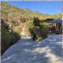 단양솔티천펜션민박 | 충북MT 자연 속 아늑한 휴식처, 단양 해바라기 숙소 여행 후기