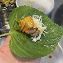 뒷골목쭈마왕 | 내돈내산 분당 오리역 맛집, 쭈꾸미삼겹살, 혼밥하기 좋은 고깃집 뒷골목쭈마왕