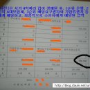 4억짜리 집 사채 담보대출 받았더니 71만원 남아 이미지