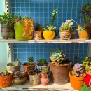 서진도식당 이미지