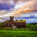 안성목장 이미지