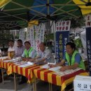 삼라마이다스 이미지