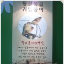 성주 가야산야생화식물원 이미지