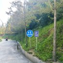 하저해수욕장(도로변) | 영덕 풍력발전소 신재생에너지전시관 옆에 있는 달려라왕발통