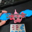 펫월드 | 부산대 맥도날드해피밀장난감 11월 로블록스 입양하세요 펫월드 2차 구매후기