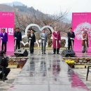 광양매화문화관 이미지