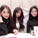 박가을 카카오 검색결과