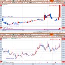 지에스칼텍스(주) 동부주유소 이미지