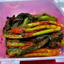 자매돌산갓김치 이미지