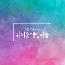 컴페니언 도그 | 귀여운 아가 댕댕이들 > _<