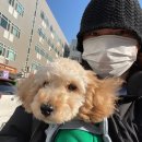 다산올축산 | 다산현대프리미엄아울렛 / 스페이스원 / 코코스퀘어 / 마장동축산시장