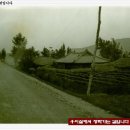 창락1리 Daum카페