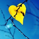 언제나,예쁘다 이미지