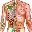 3H스마트지압침대 이미지