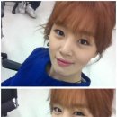 선화 이미지