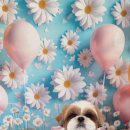 꽃보다 Dog 네이버블로그