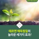 테르엔해독찜질힐링센터