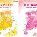 153세탁소 이미지