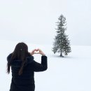 엔소프트 | 삿포로 겨울여행 비에이투어 3월 엔데이트립 코스정보 후기