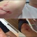 비봉지구대 이미지