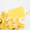 스마일쇼핑 이미지