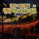 한솥도시락 밀양 삼문점 | 2026년 밀양 국가유산야행 좋은자리 꿀팁 임시주차장정보
