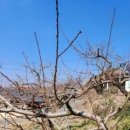 손지농장 이미지