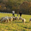 아름목장 이미지