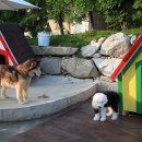 혜영목장 이미지