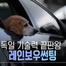 태안시트카바사 이미지