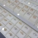 광장80호 이미지