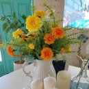 79파운야드(79FOUNYARD) 이미지