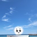 [강원도 강릉] AM브레드 그리고 순두부젤라또 2호점