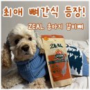 제리월드 | 강아지뼈간식 추천｜제리가 사랑한 ZEAL 질 송아지 갈비뼈 솔직 후기