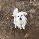 남쪽나라민박 이미지