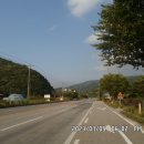 금거2리 Daum카페