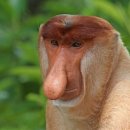 사상퍼스트이비인후과 이미지