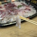 촌놈회포장 | 경남 남해 횟집 촌놈 회포장, 미조항 근처 회 맛집 내돈내산 후기