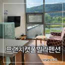 프랜치캣풀빌라펜션 | 가평 여행 자라섬 남이섬 근처 복층 가평 애견 동반 펜션 스파 수영 가능한 프랜치캣풀빌라펜션