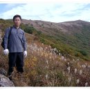 알토란 공인중개사사무소 이미지