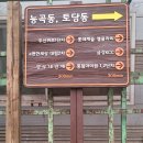 꿈나무(소공원) | 엔틱목간판 관공서현판 수목표찰 공원안내도 샌드블라스팅 우드사인 등 나무간판 제작후기
