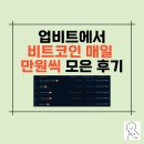 비트코인 | 매일 만원씩 비트코인 모으기 후기 (수익은..?)