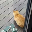 스테이더담 경주산내점 | 스테이 더담 경주 산내점