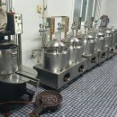 안심사슴농장 이미지