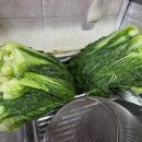 국용농장 이미지