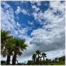 제주전복물회 이미지