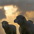 상서목장 이미지