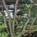 상북면행정복지센터 이미지