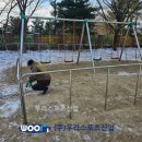 한일초등학교 이미지