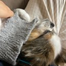 하사관길 이미지